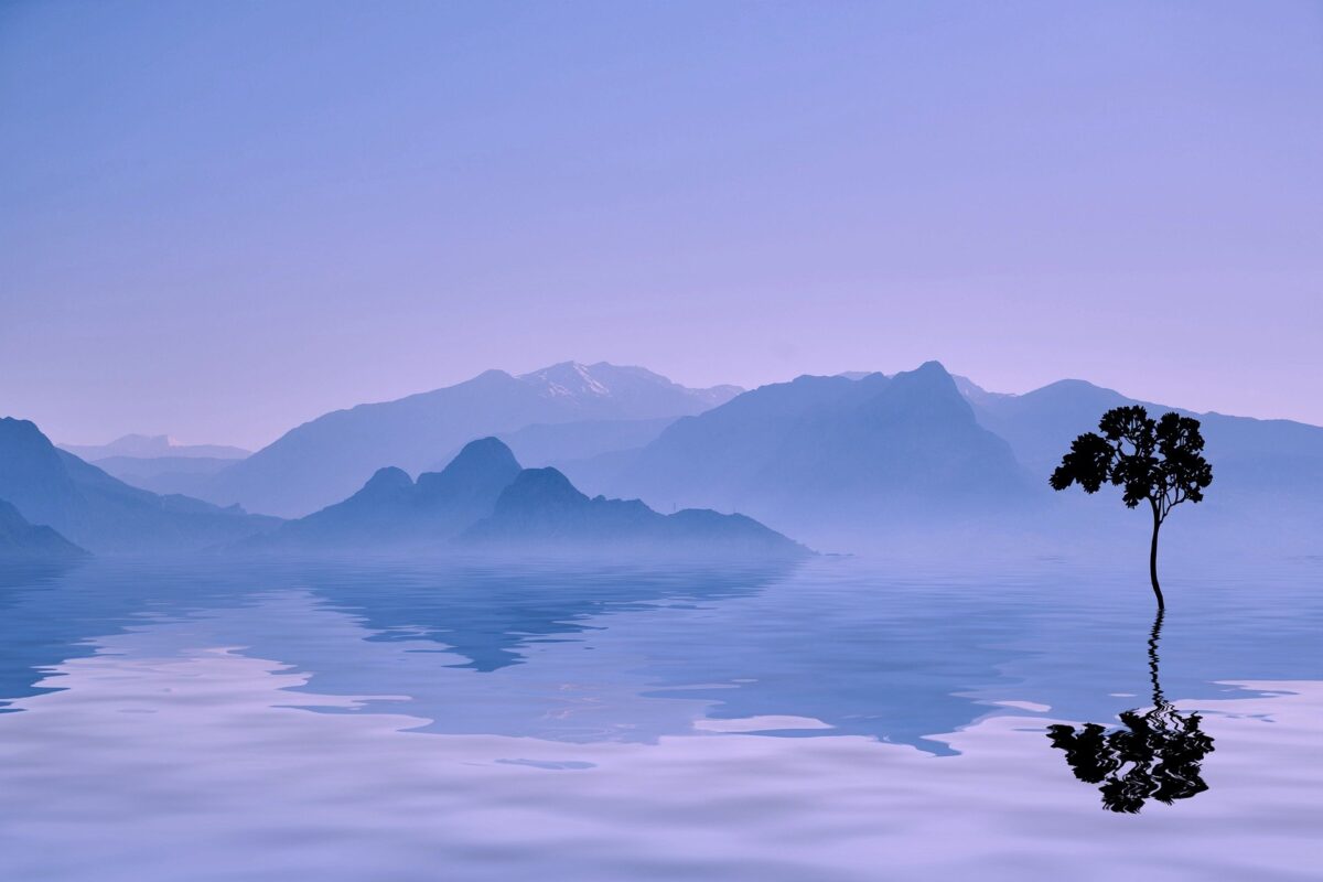 Zartes Bäumchen wächst aus Teaumlandschaft mit Bergen im Hintergrund